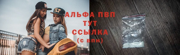 индика Алексин
