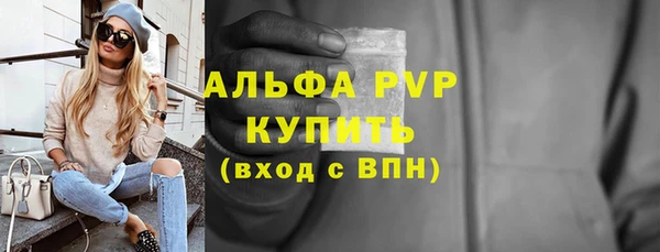 индика Алексин