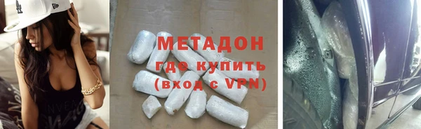 индика Алексин