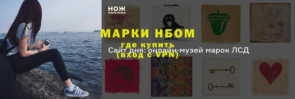индика Алексин