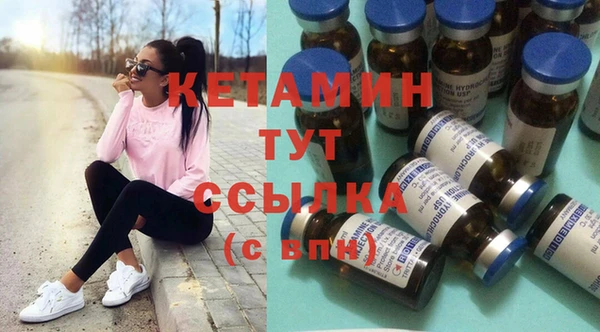индика Алексин