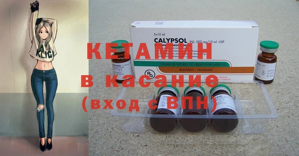 индика Алексин