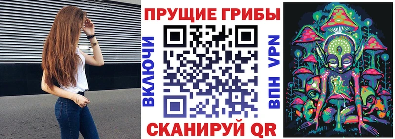 где купить   Невинномысск  Галлюциногенные грибы ЛСД 