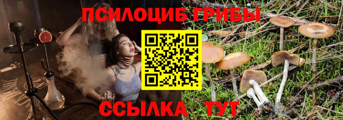 Невинномысск  Галлюциногенные грибы Magic Shrooms  Вход с VPN 